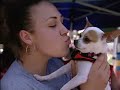 PETCO Unleashed National Chihuahua Race Finals