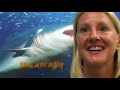 Oceanic whitetip shark