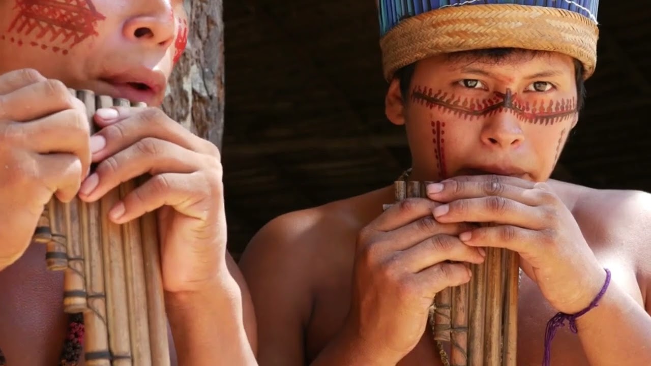 Iniciativa Amazónica