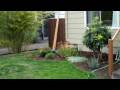 videos de How much are those Terriers in the window?