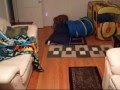 Serval Drags Bed Into Room and Tunnel