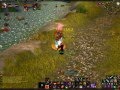 videos de Nakadai 70 UD Rogue