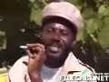 Jamaican Tour Guide