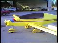 Moni Motorglider Fly By & Landing