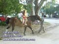 Video de promoción del Balneario Reta hecho por BalnearioReta.com