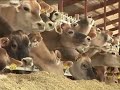 Hilmar Cheese Plant