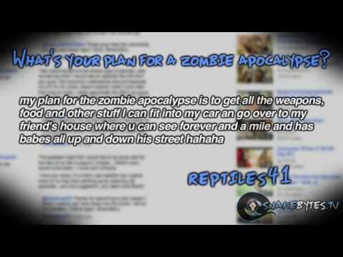 YouTube reptile video