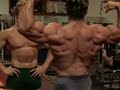 Arnold Schwarzenegger Workout