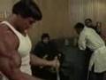 Arnold-Schwarzenegge