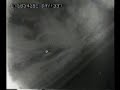Whitley Strieber Video--NASA STS 80 commanded by Story Musgrave.wmv Whitley Strieber Video--NASA STS 80 commanded by Story Musgrave.wmv