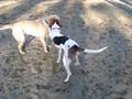 videos de Logan & Lola
