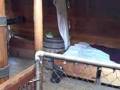 Jamestown Ships.wmv