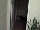 Hide and Seek with Titan and Sader