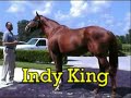 Greatness & Indy King Thoroughbred race horses Greatness & Indy King Thoroughbred race horses