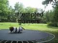 Jason Tyler Danner Flips Out