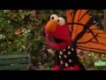 Elmo's Butterfly Song - YouTube