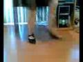 What a tap dancer does