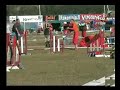 Ylöjärvi 5.7.2008, kleinspitz Otto