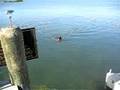 Koenig Diving two