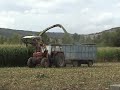 ensilage 2006