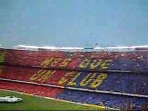 Ver video