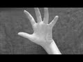 Book Trailer #2.mov