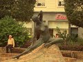 photos officielles de douai..