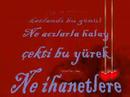 ZeYTiN GöZLüM\ ZeYTiN GöZLüM\