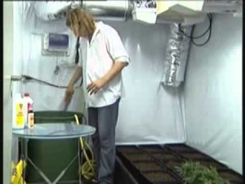 how to grow weed dvd