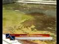 videos de Contrastes-reportaje: Piscinas de Tingo