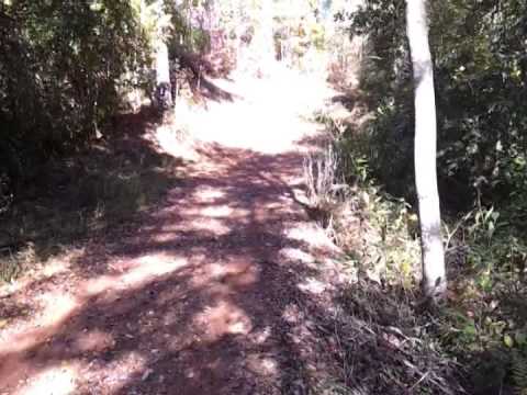 154 acres Ashland, AL
