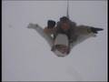 parachute