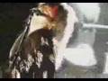 Lillian Axe - Show A Little Love