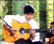 rayito tico-tico