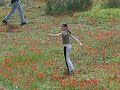 Inbar_dencing_Feb_2008