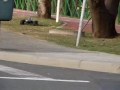 TRAXXAS REVO 3.3 E KYOSHO INFERNO OS .21