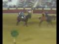 videos de Carrusel vaquero de gitanas a la grupa. Córdoba Ecuestre. Plaza de toros de Cabra.