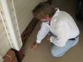 New Termite Technology