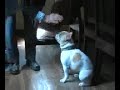 See video