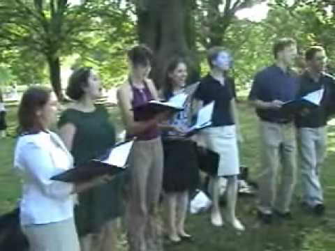 Darwin's Finches - Tequila Samba