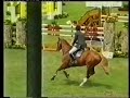 couleur-rubin-beligneux-haras-jumping.html