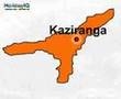 Kaziranga Videos, Assam, India