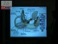 Ak�ll� Tahta   AKYAZI INTERACTIVE BOARD