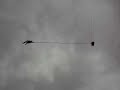 Reverse Bungee Reverse Bungee