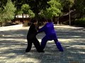 Yin baguazhang - another clip with apps