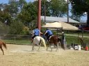 Blitz's First Games Comp. race 2