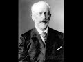 Tchaikovsky - Dance Of The Swans