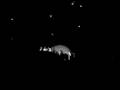 Coldplay - Death Will Never Conquer (live in Köln 12.09.08)