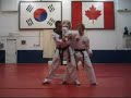 Hapkido technique