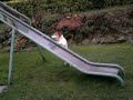 funny dog vs slide..
